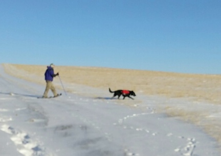 Deron snowshoeing with Turquiose in Backpack 2015-12-26