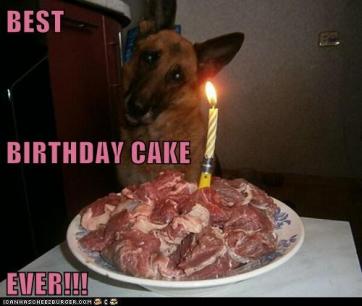 GSD Meat Cake