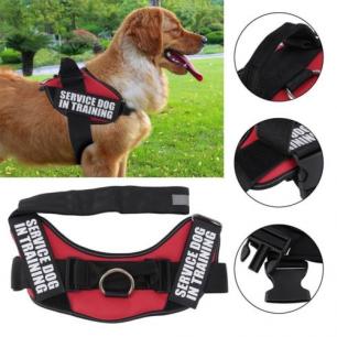 Service Dog In Training Harness