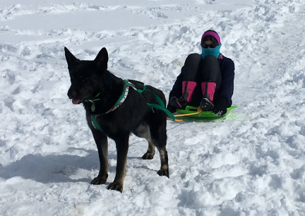 Tabaliah pulling Marna on Snow 2018-02-28
