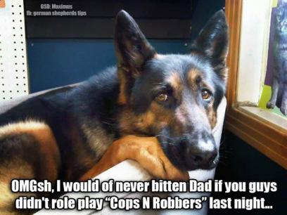 GSD Cops & Robbers