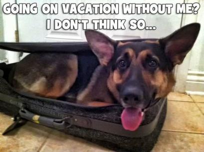 Vacation GSD